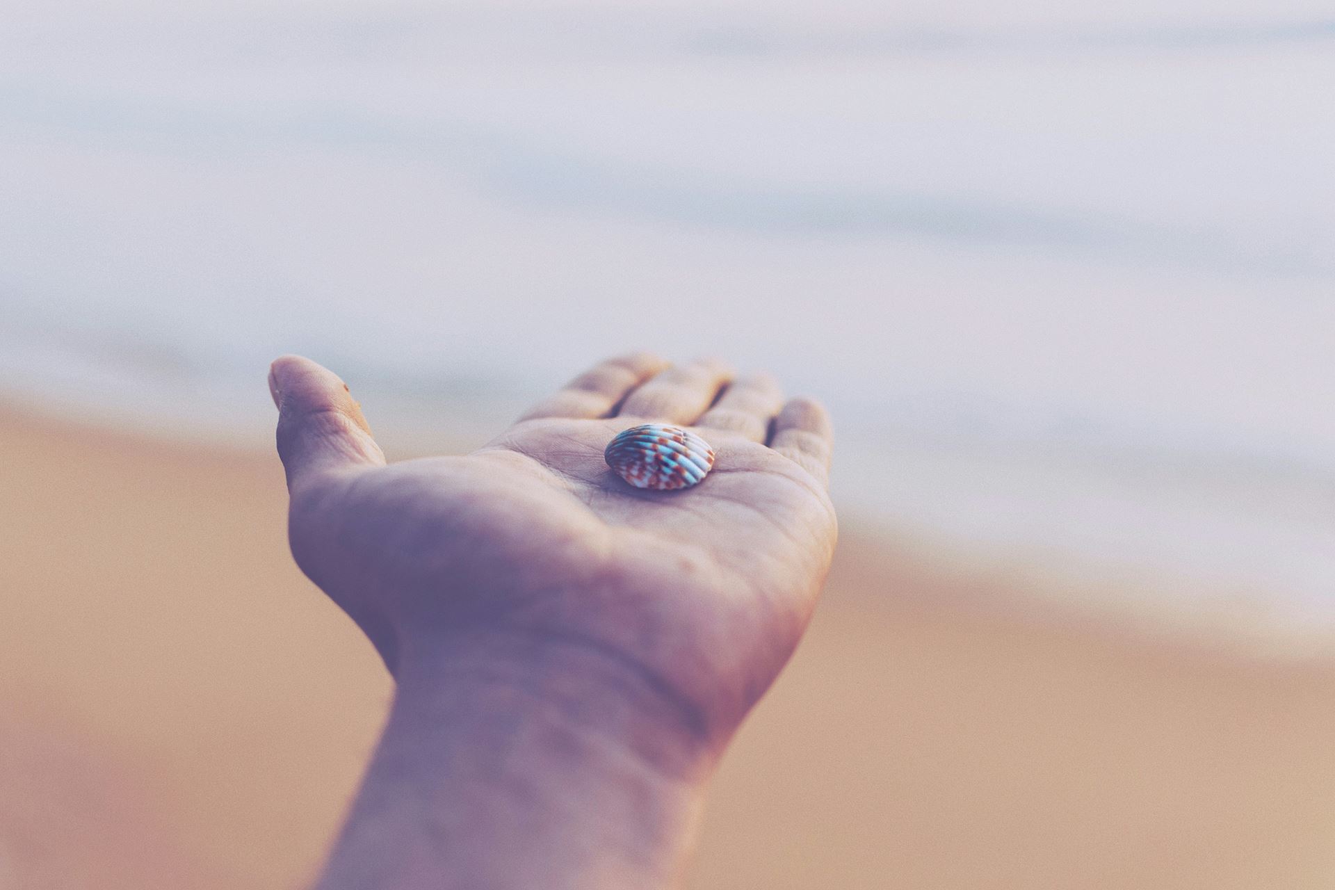 A hand holding a pebble with the beach in the background.